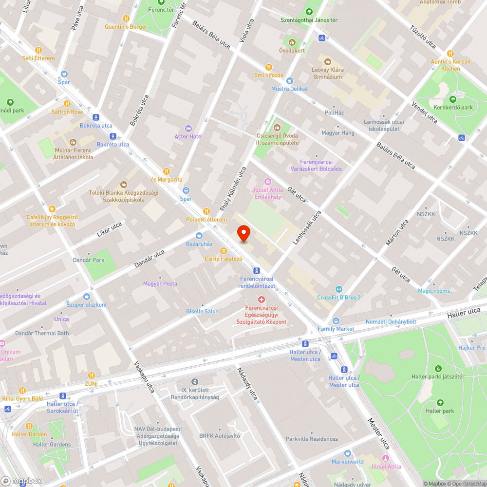 Letört ág a járdán bejelentés helye