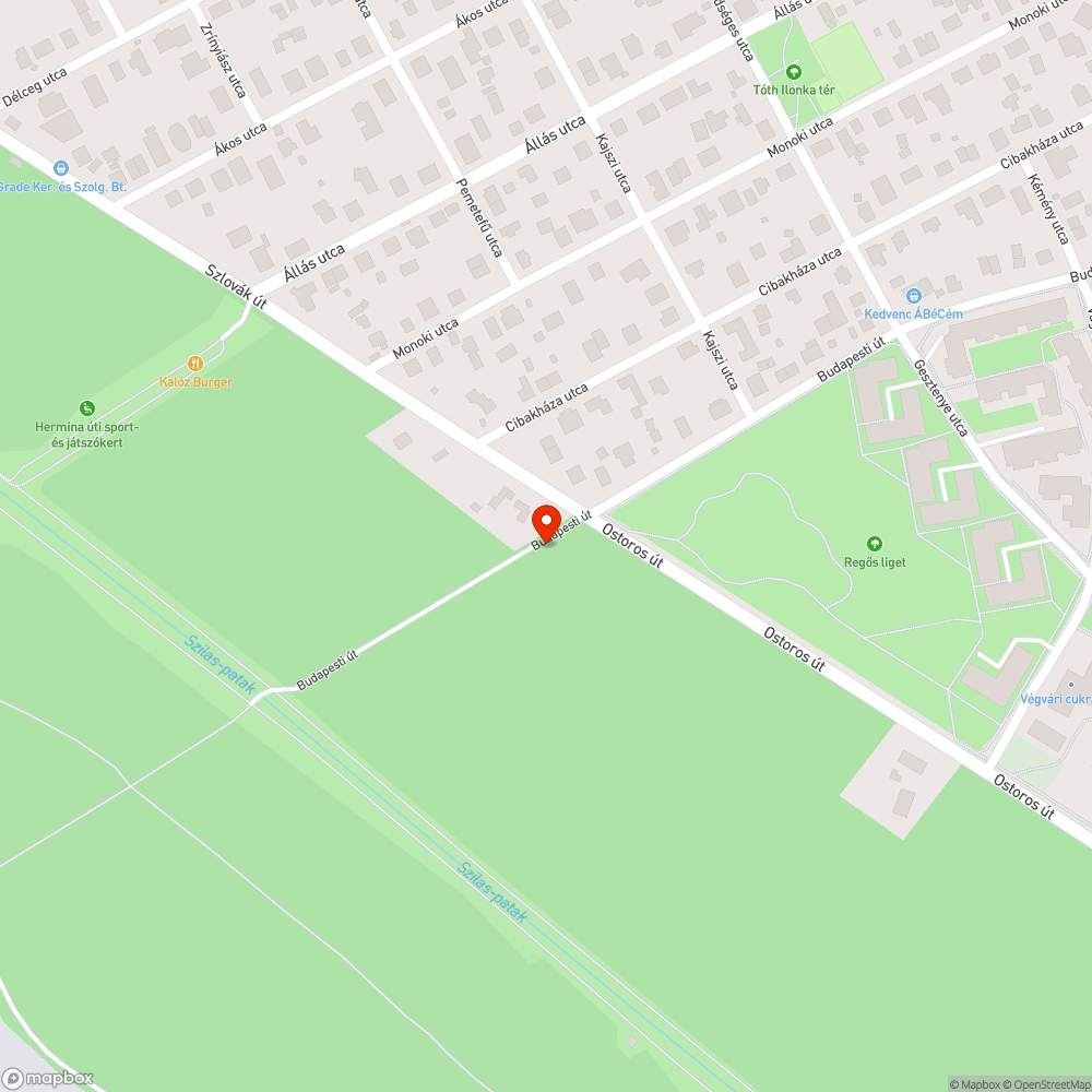 Szemétkupac a Szlovák út melletti erdősávban bejelentés helye