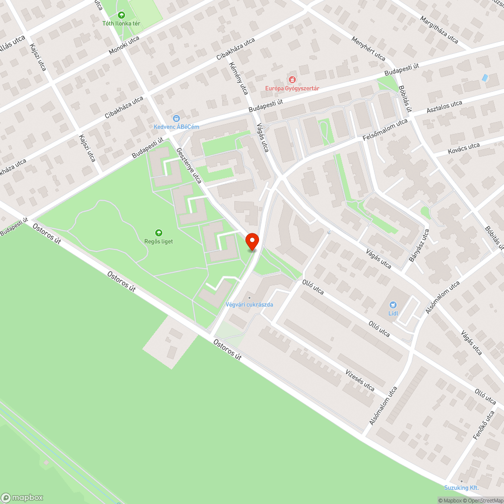 Parlagfűmező a Felsőmalom utcánál bejelentés helye