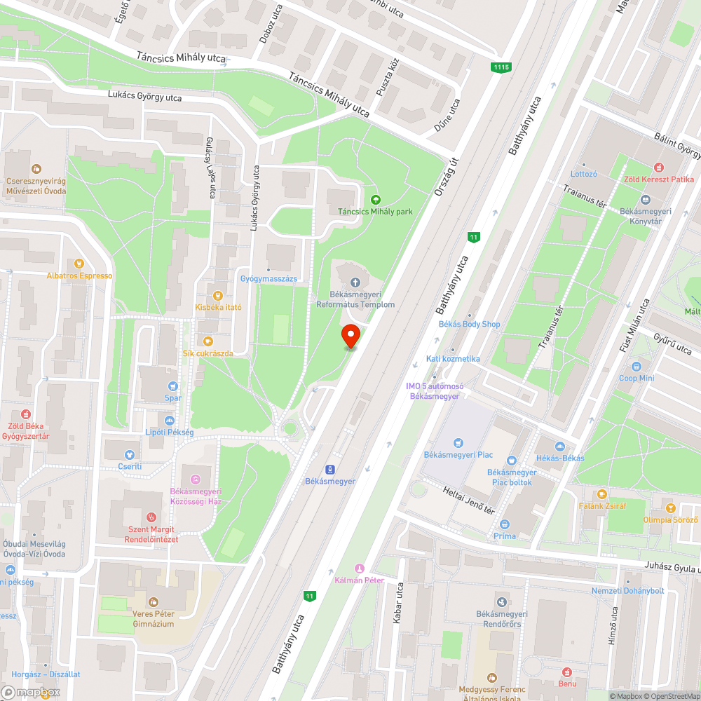 Letört nagy faág a Csobánka téren bejelentés helye