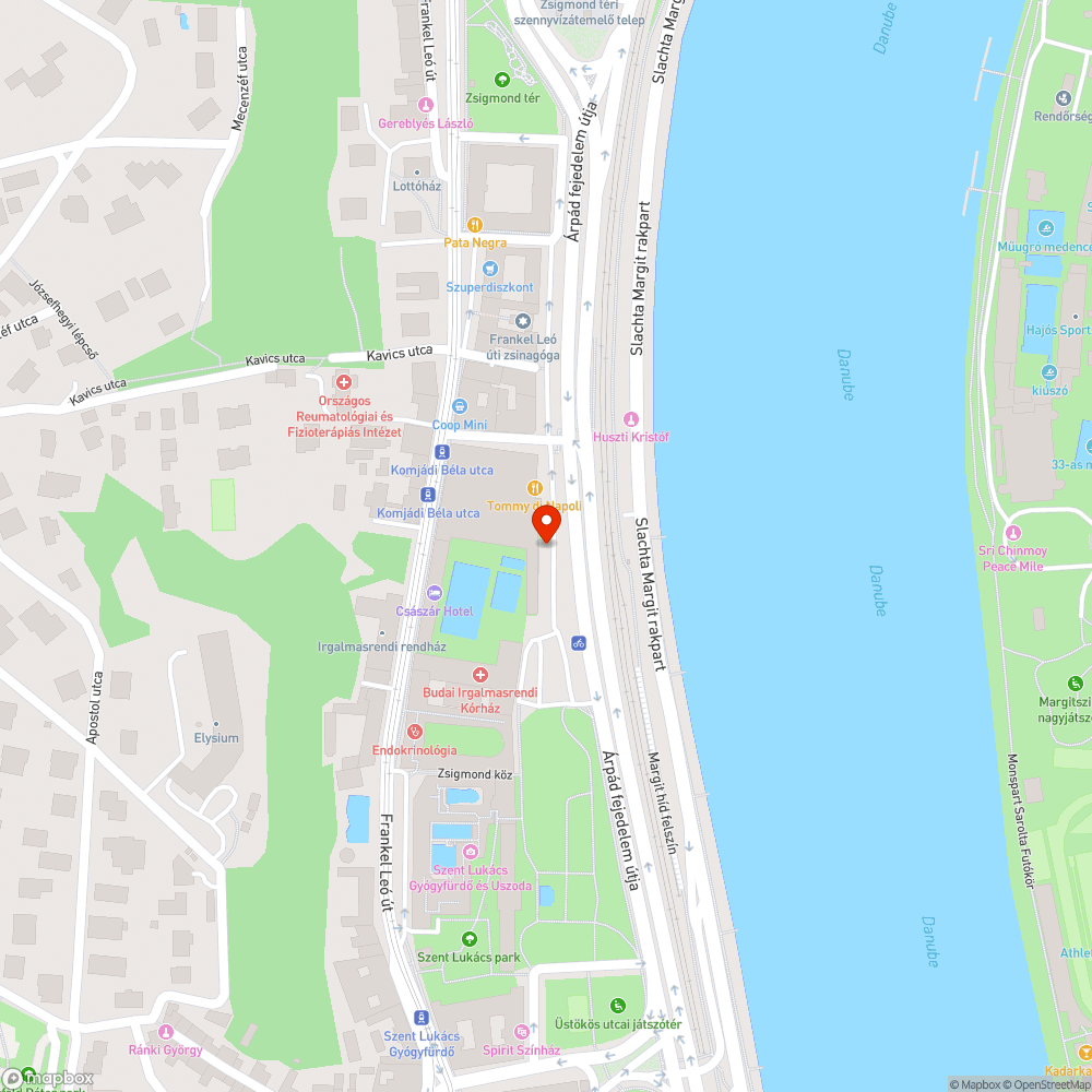 Kiszáradt fák gyomos zöldterület a Komjádi uszoda előtt bejelentés helye