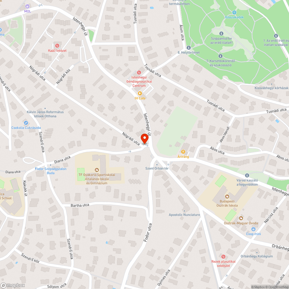 Elhagyott autó bejelentés helye