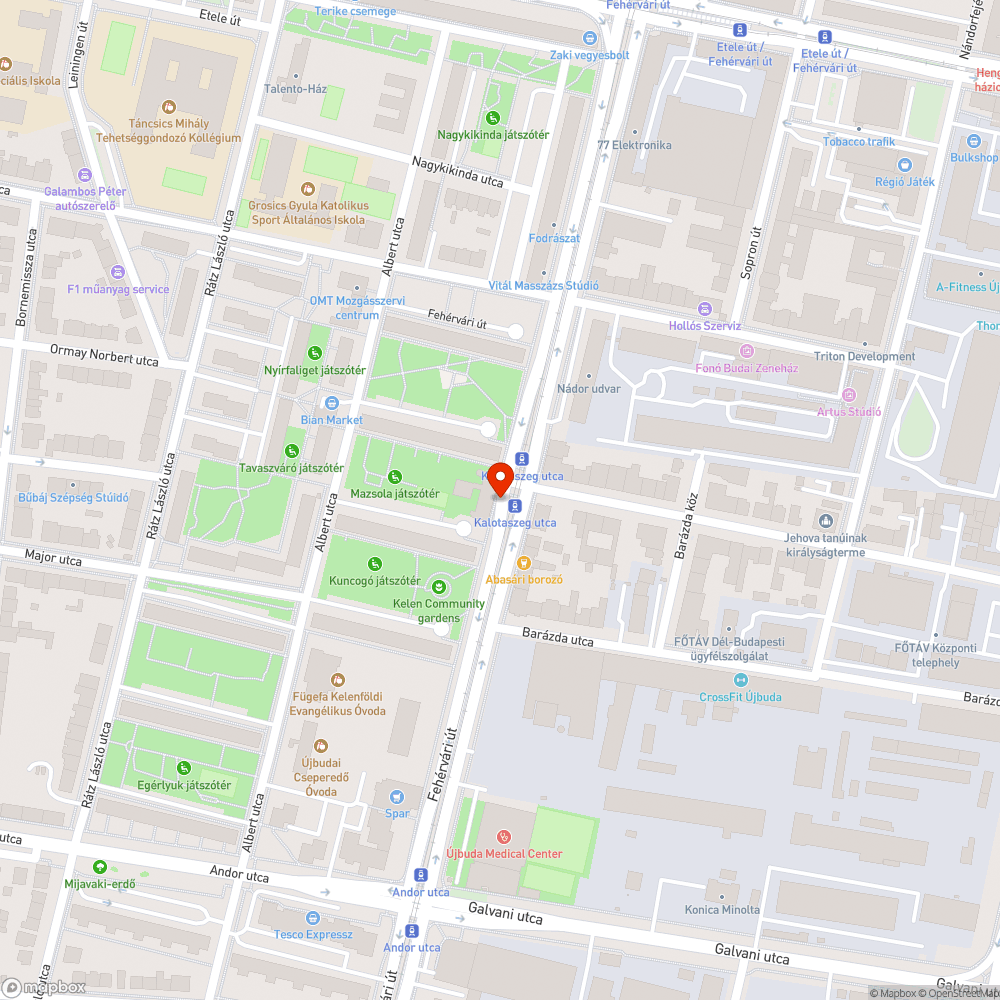 Aratásra kész parlagfűtábla a felújított Fehérvári út mentén bejelentés helye