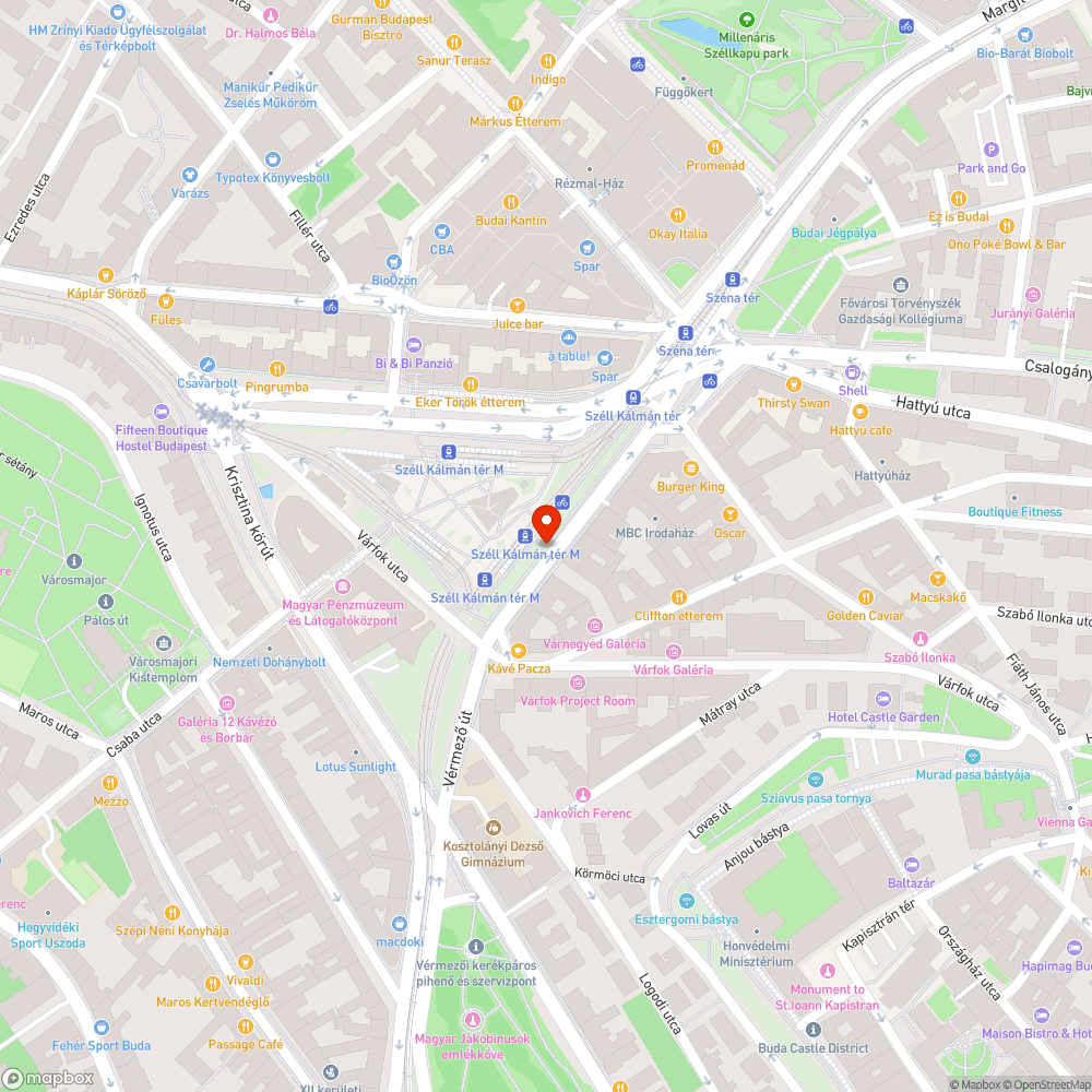 Széll Kálmán téri kerékpárútra ránőtt a növényzet bejelentés helye