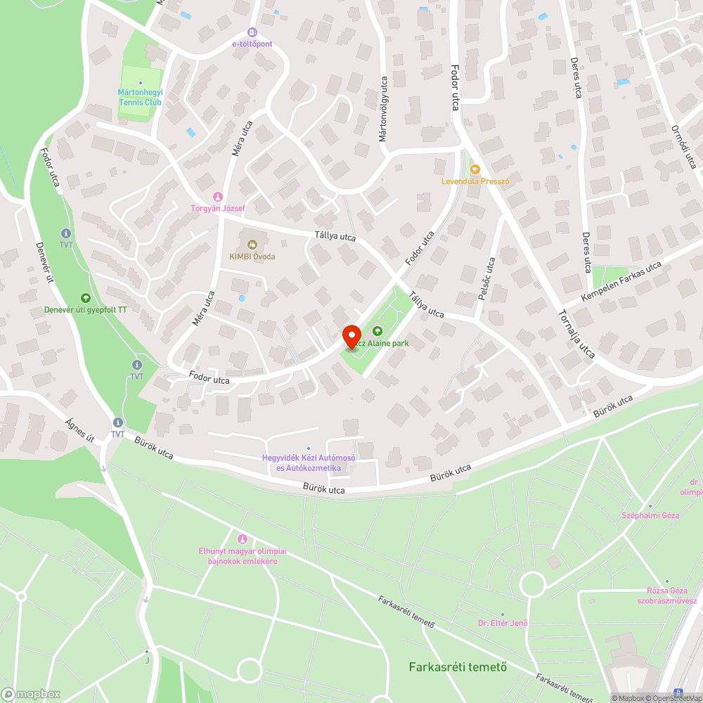 Elhagyott autó bejelentés helye