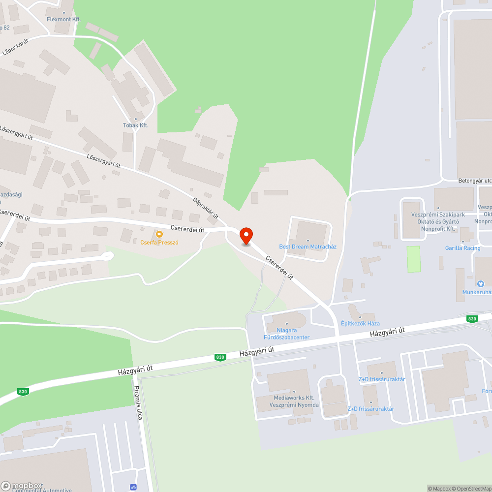 Hiányzó terelő táblák és/vagy útburkolati jelek a Bakony Műveknél bejelentés helye