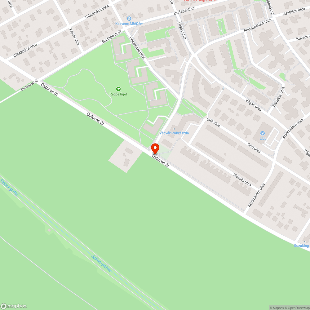 Padkán vígan nő a gaz bejelentés helye