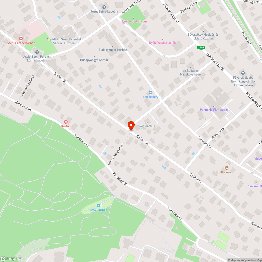 Egyirányùsìtani kéne a Széher utat bejelentés helye