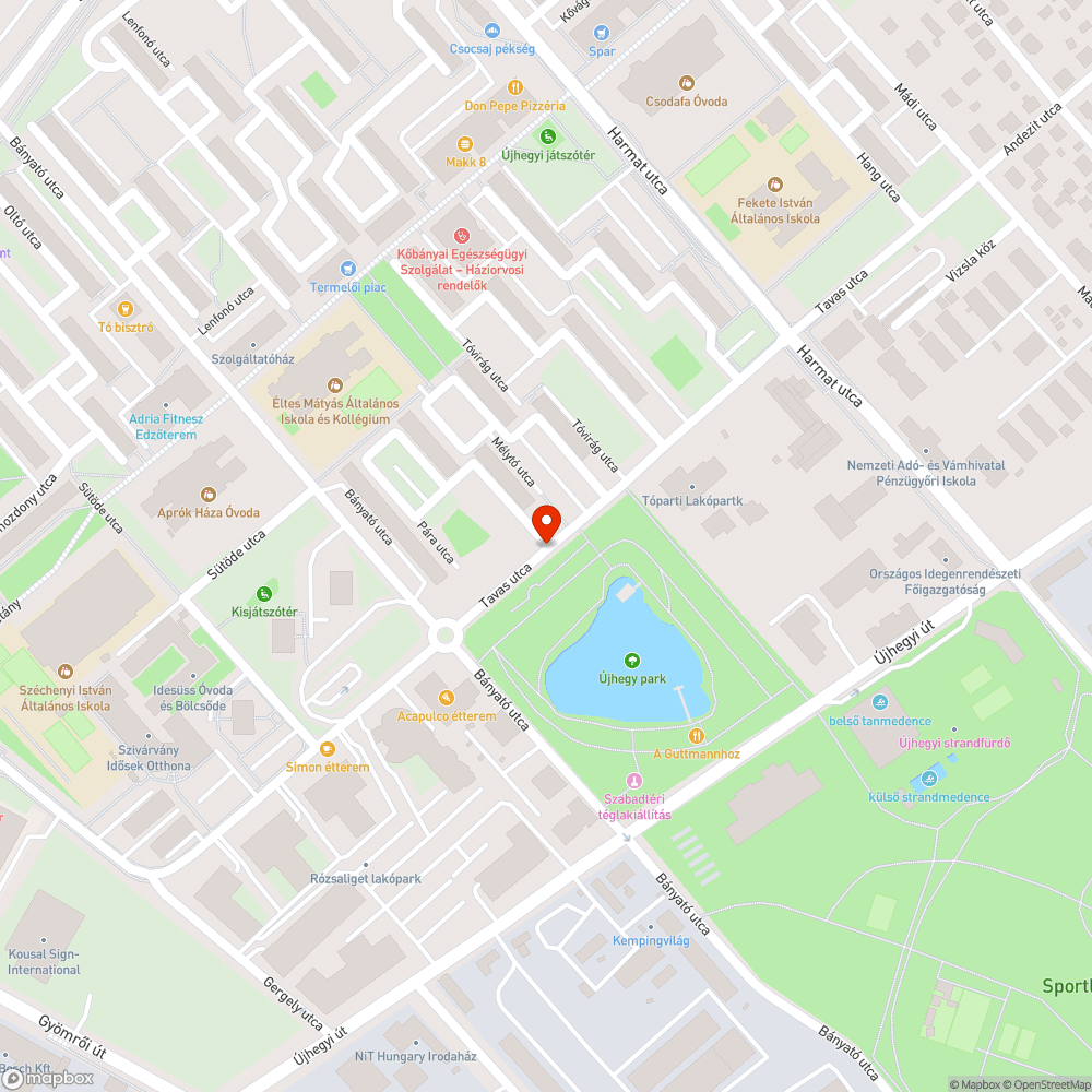 Kis tócsa bejelentés helye