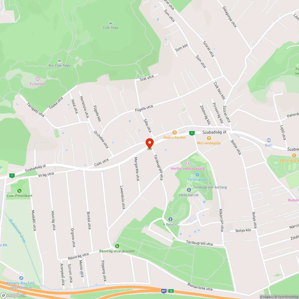 Kivilágítattlan útkereszteződés/gyalogos átkelő bejelentés helye