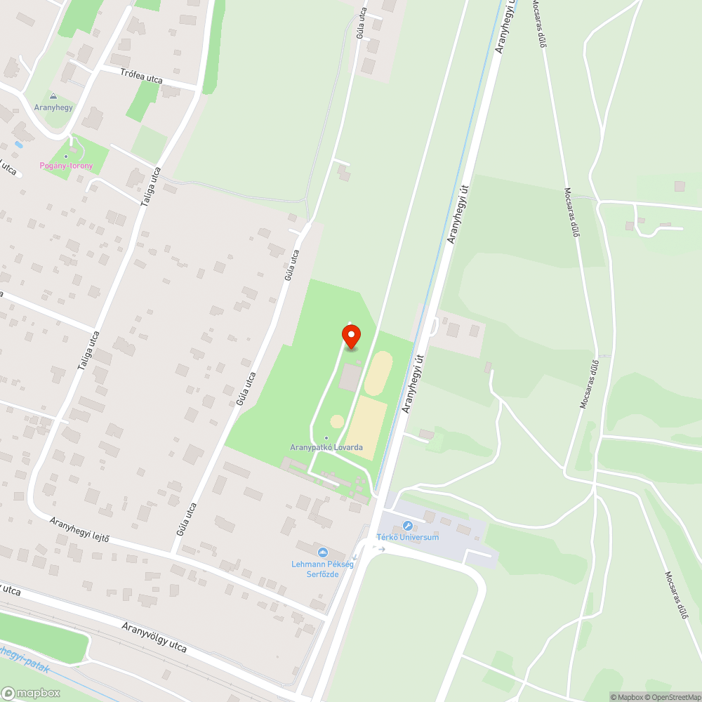 Óriási mennyiségű parlagfű a réten bejelentés helye