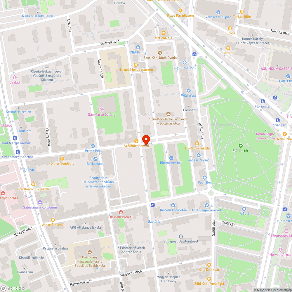 Gondozatlan bokor benőtt a járdára bejelentés helye