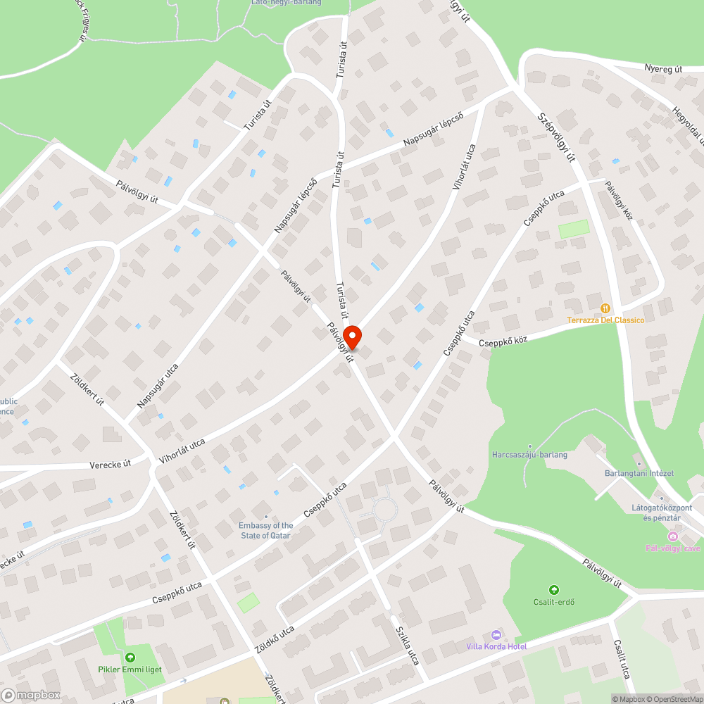 Közútra belógó növényzet a Pálvölgyi úton bejelentés helye