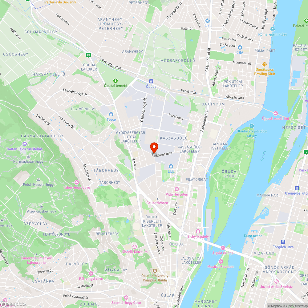 Fák zavarják a járda használatát bejelentés helye