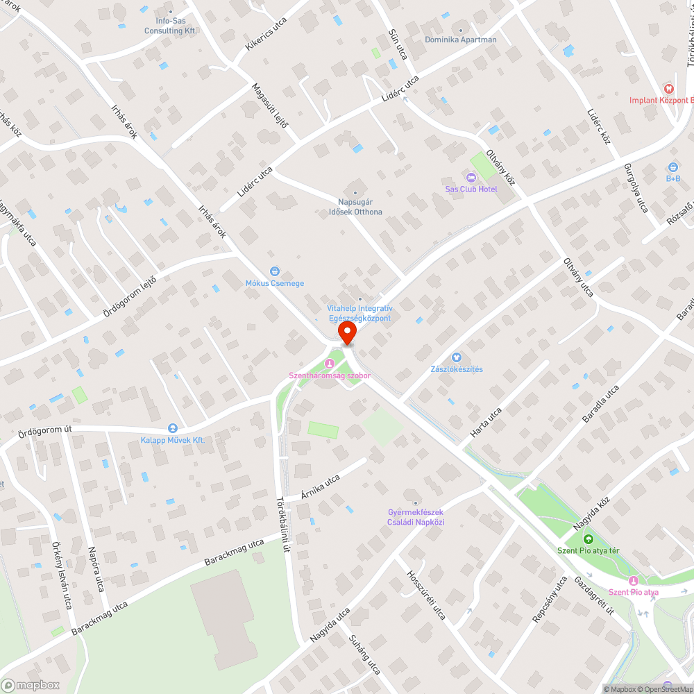 Gyalogosátkelő felfestése hónapok óta hiányzik! bejelentés helye