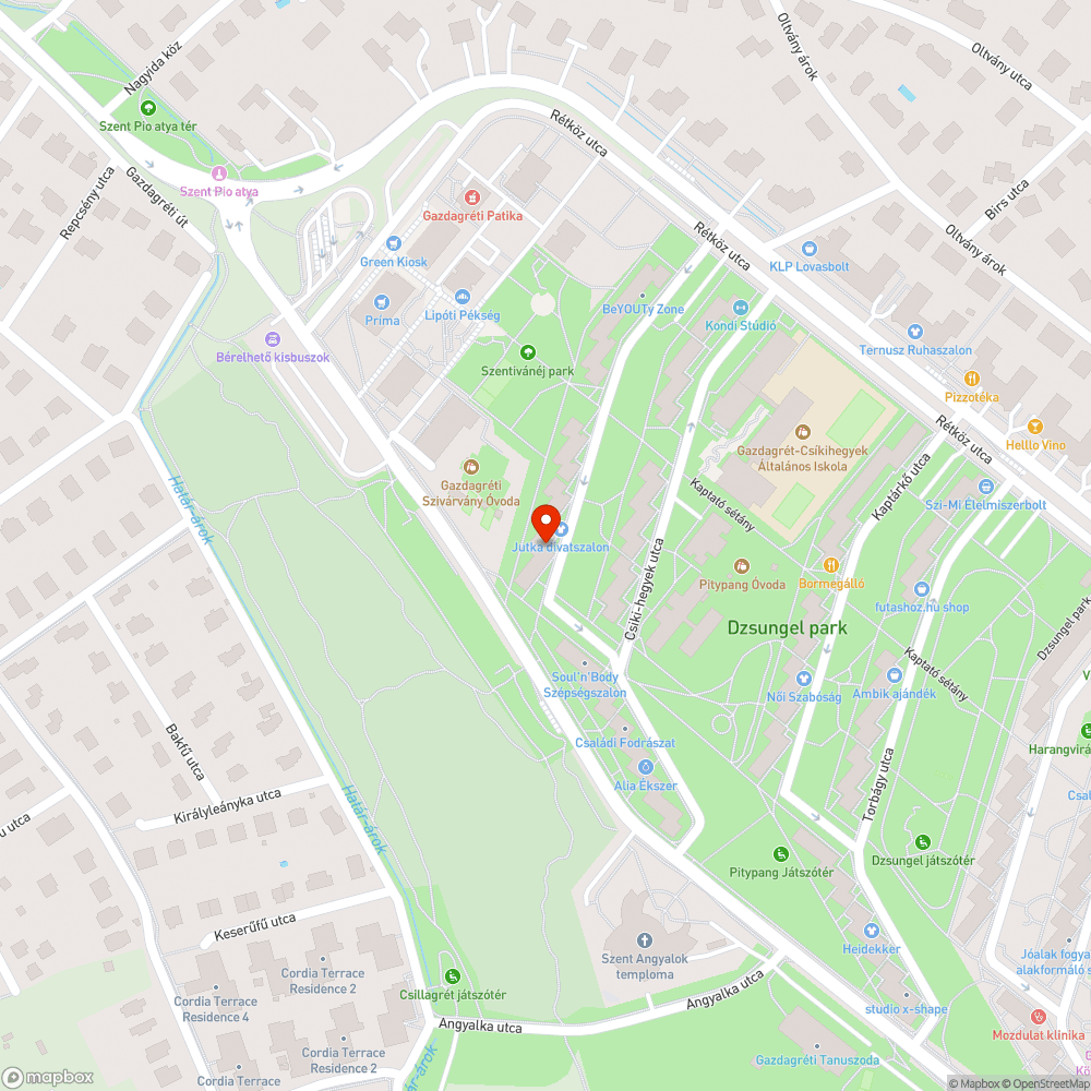 Elhagyott autó bejelentés helye