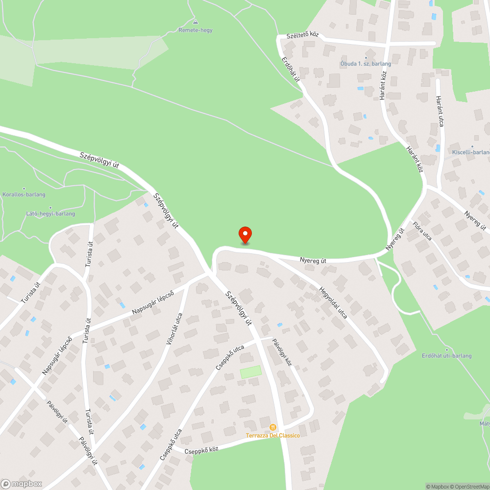 Korhadó fa, rádől a villanyvezetékre bejelentés helye