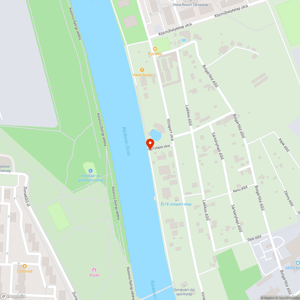 Kidőlt fa a Duna partján bejelentés helye