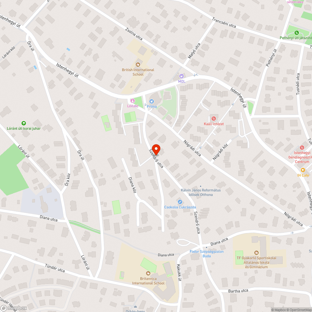 kiégett utcai világítás lámpája bejelentés helye