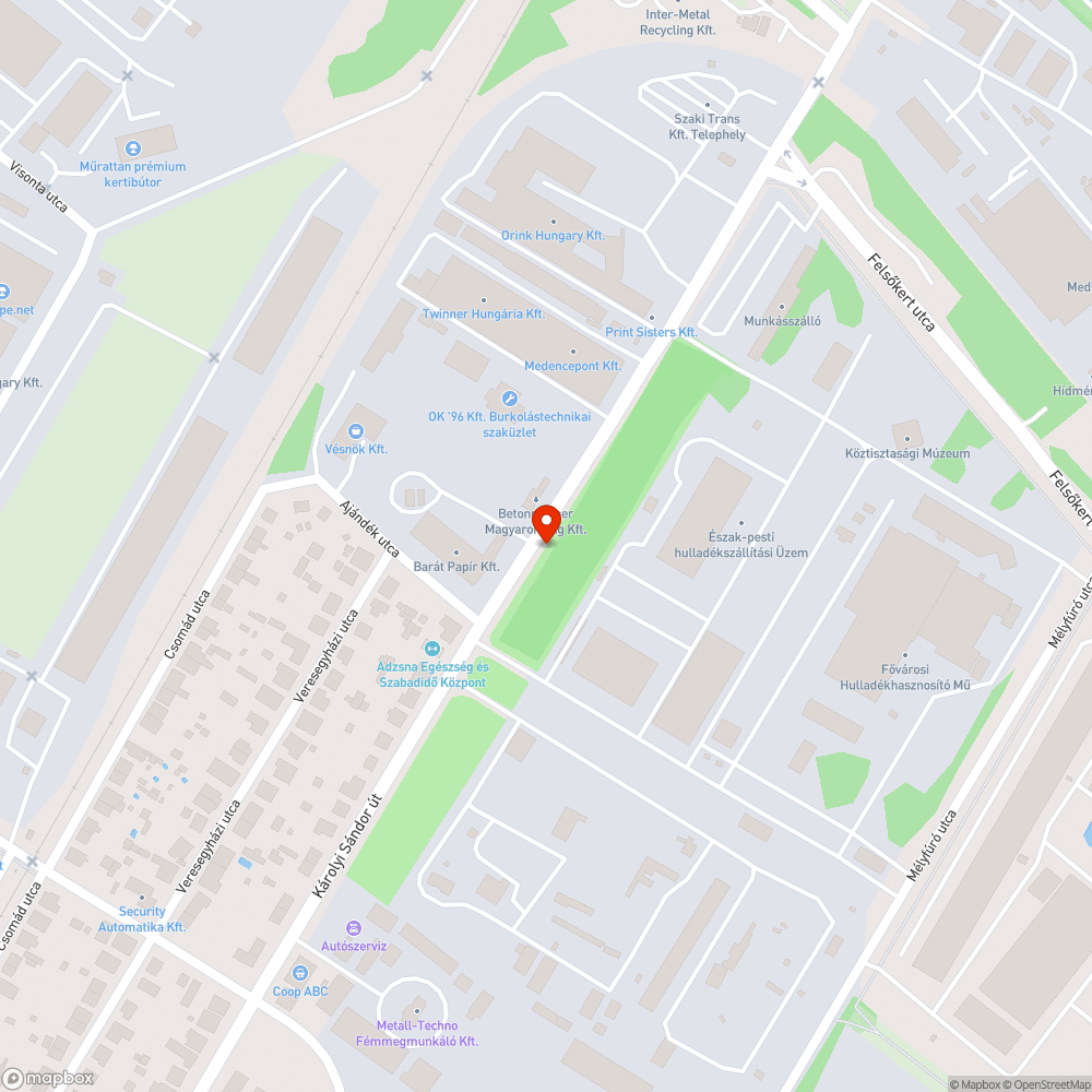 Elgázolt macska teteme bejelentés helye