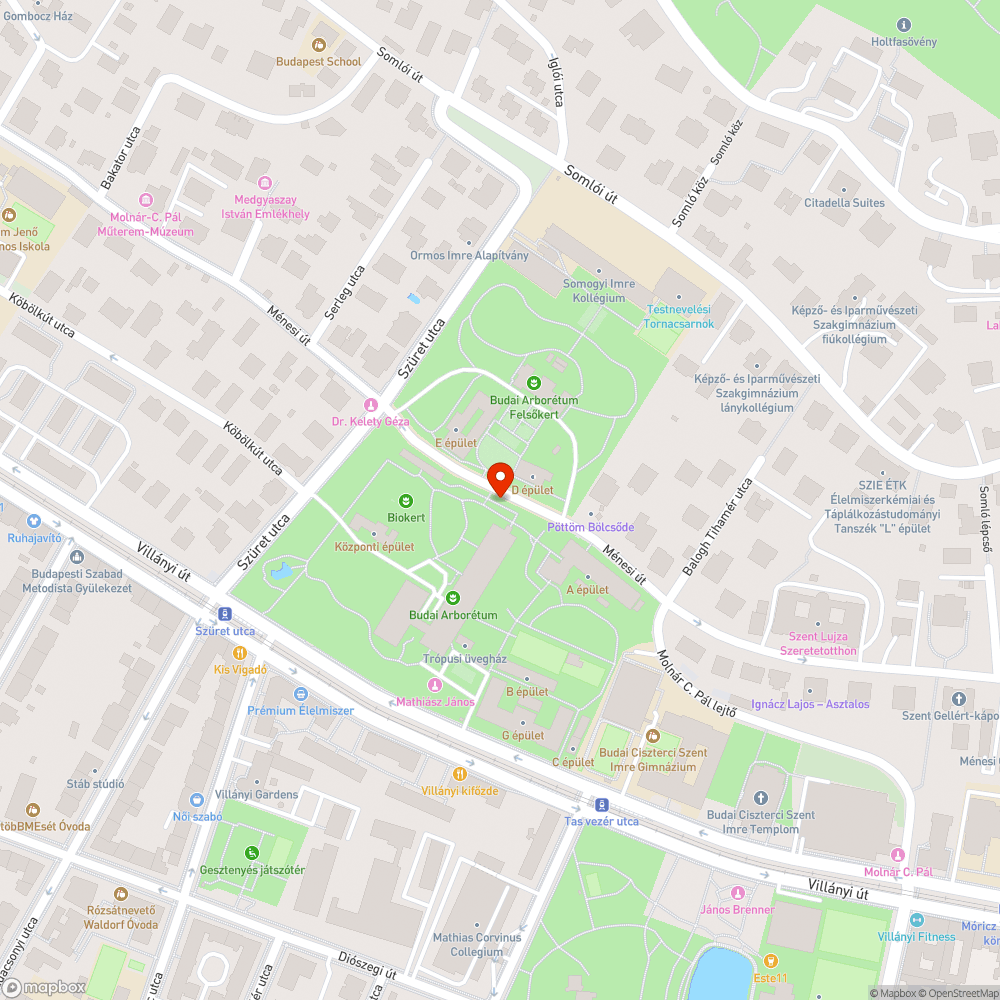 Elhagyott autó bejelentés helye