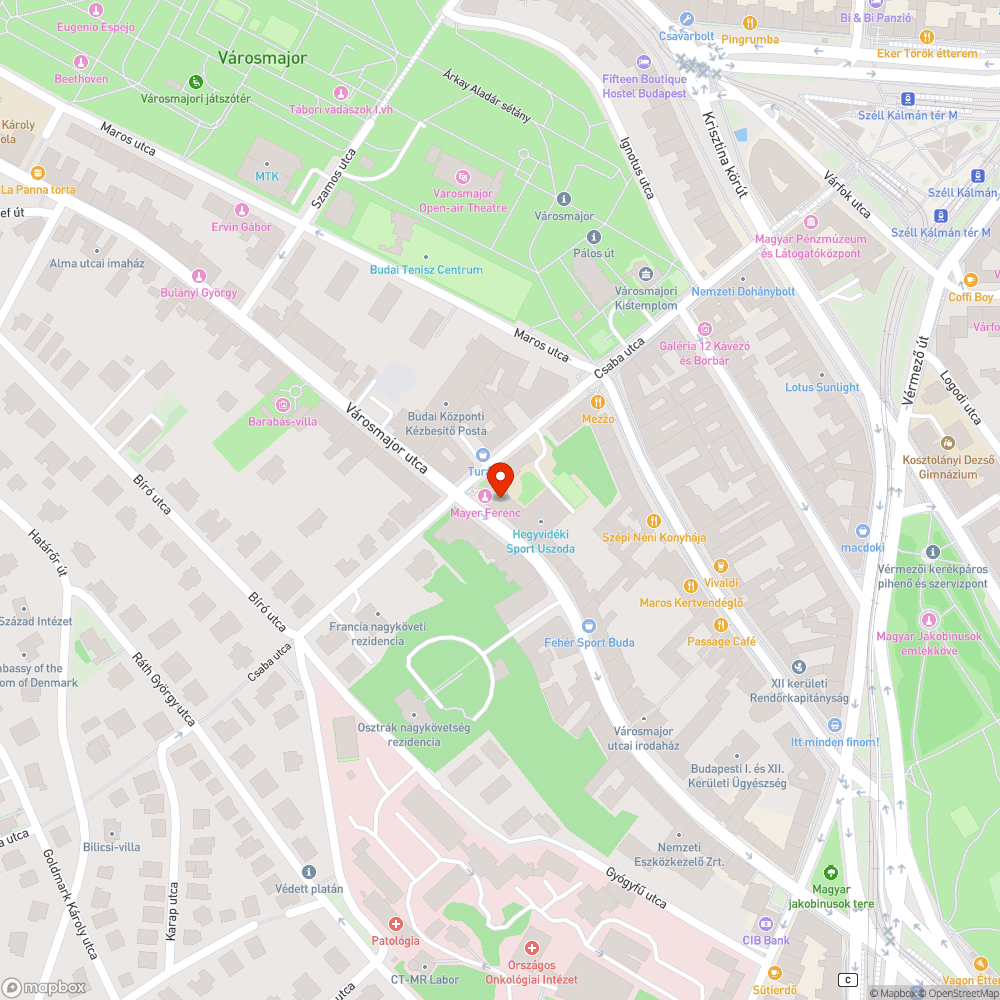 Aszfaltozás után lemaradt a felfestés a Városmajor utcában bejelentés helye