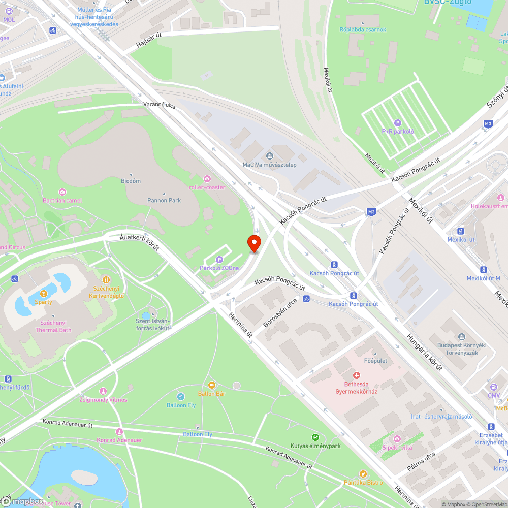 Takarítatlan avar / járda a Vidámpark mellett bejelentés helye