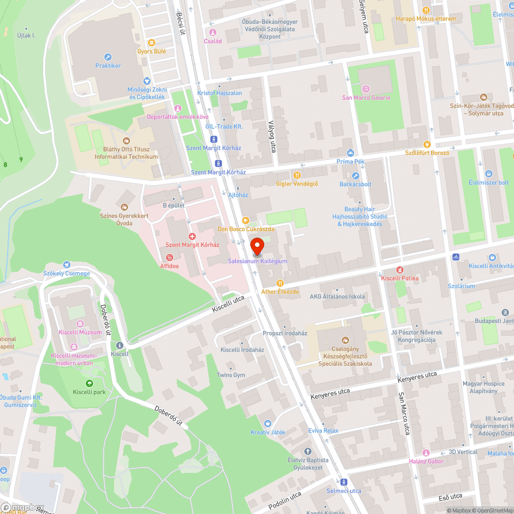 Bécsi út 173. előtt eldugult víznyelő - vállig felverődő víz az útról bejelentés helye