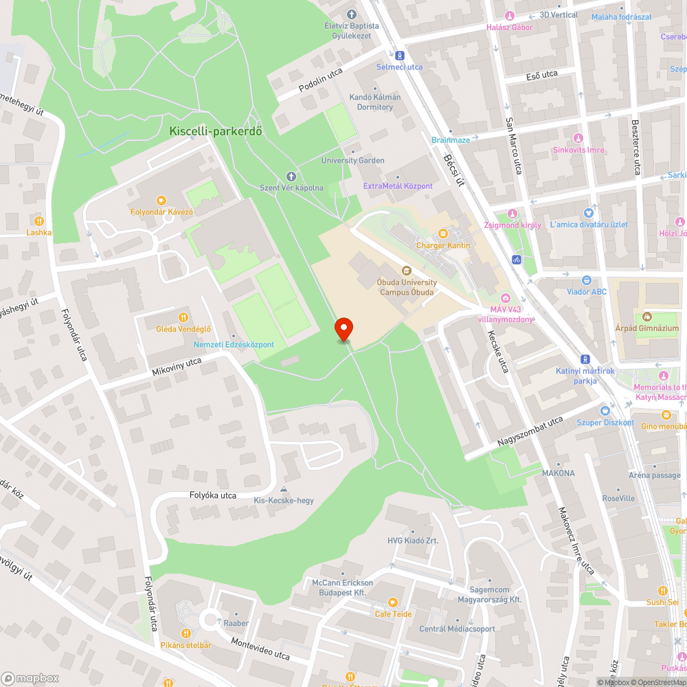 Kidőlt fa bejelentés helye