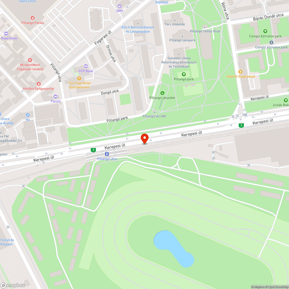 Falevelek a járdán bejelentés helye