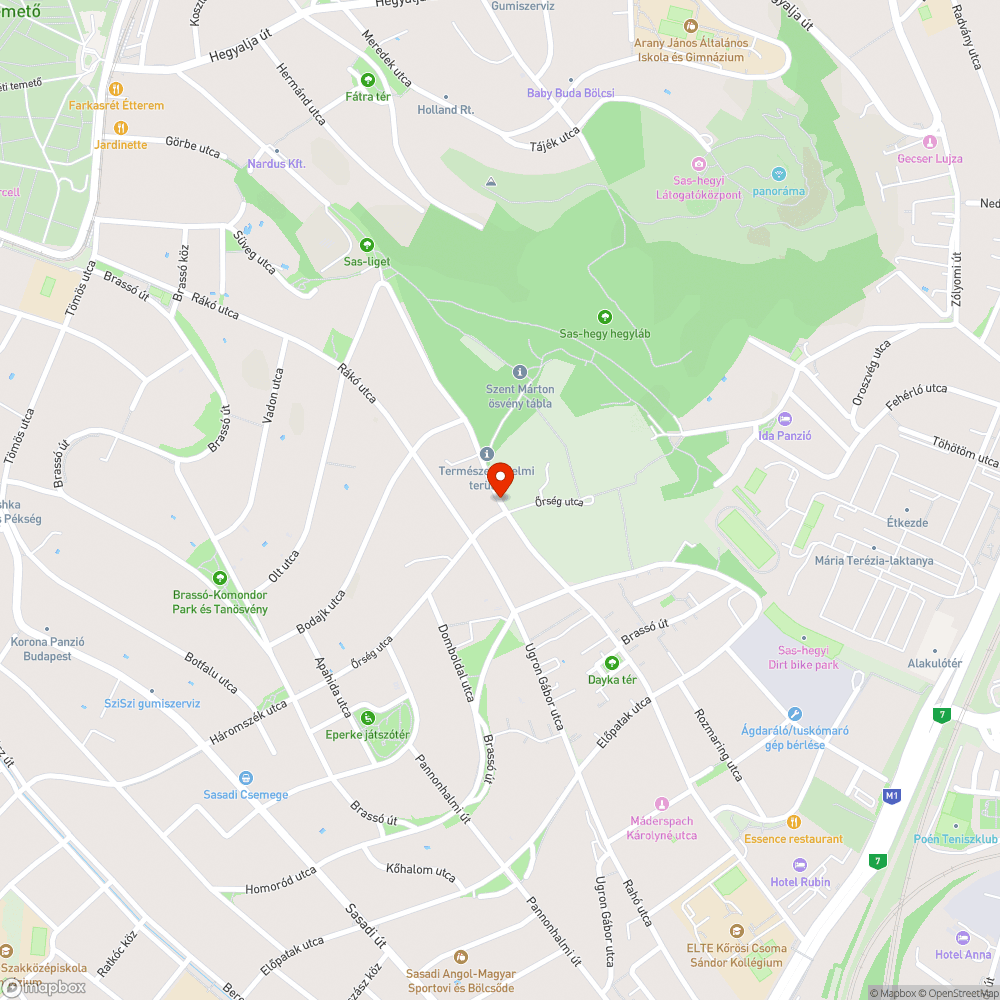 Körösi Csoma Kollégium előtti szemét bejelentés helye