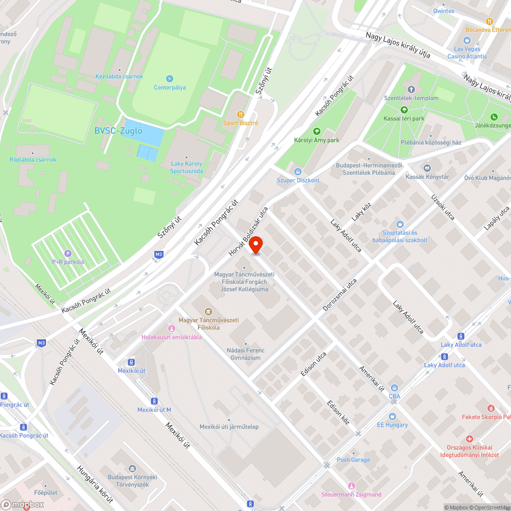 Rendszeres szabálytalan parkolók. bejelentés helye