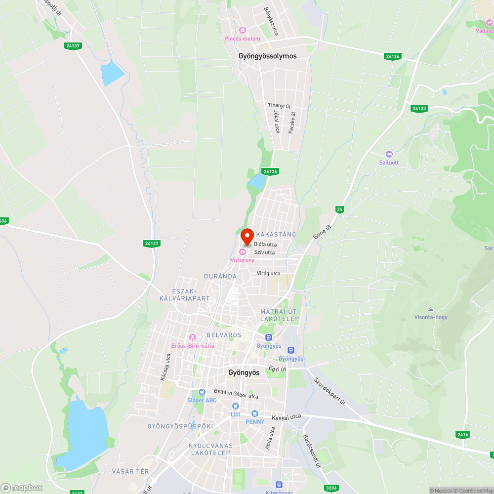 Gyöngyös, Petőfi út útburkolata kátyús bejelentés helye