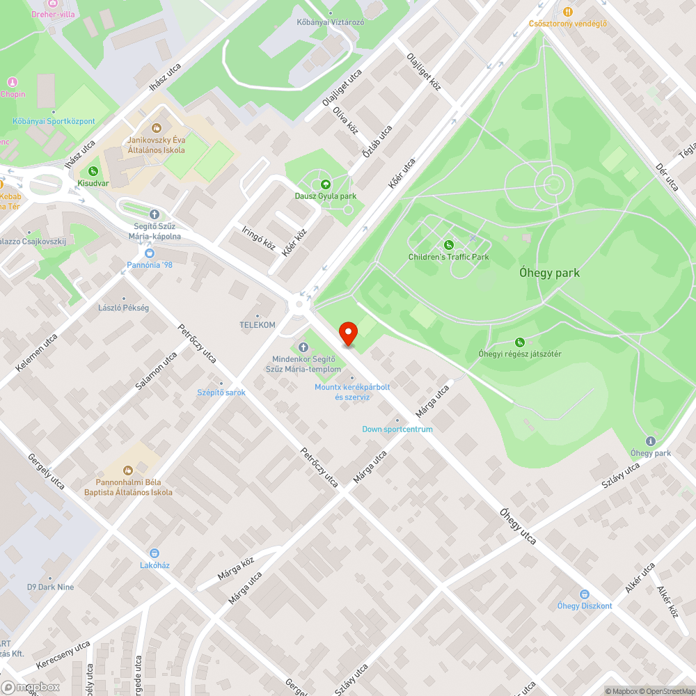 óriási kupac falevél, ágak és már szemét is bejelentés helye