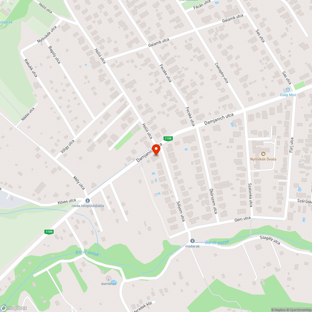 Zebra hiánya a Damjanich utcában bejelentés helye