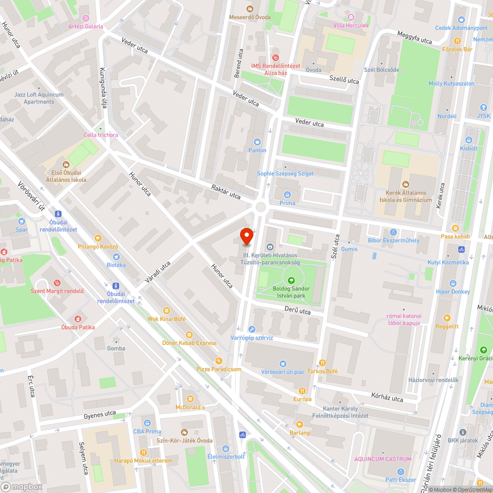 Lehullott faágak, rendezetlen terület bejelentés helye