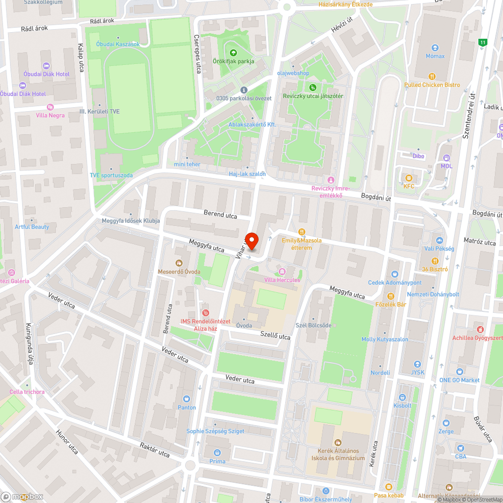 Lehullott faágak, útszegő kövek hiánya bejelentés helye