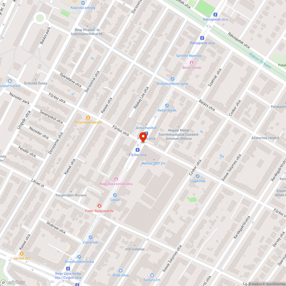 Lekopott zebrák a Fűrész utca és Erzsébet királyné útja kereszteződésben bejelentés helye