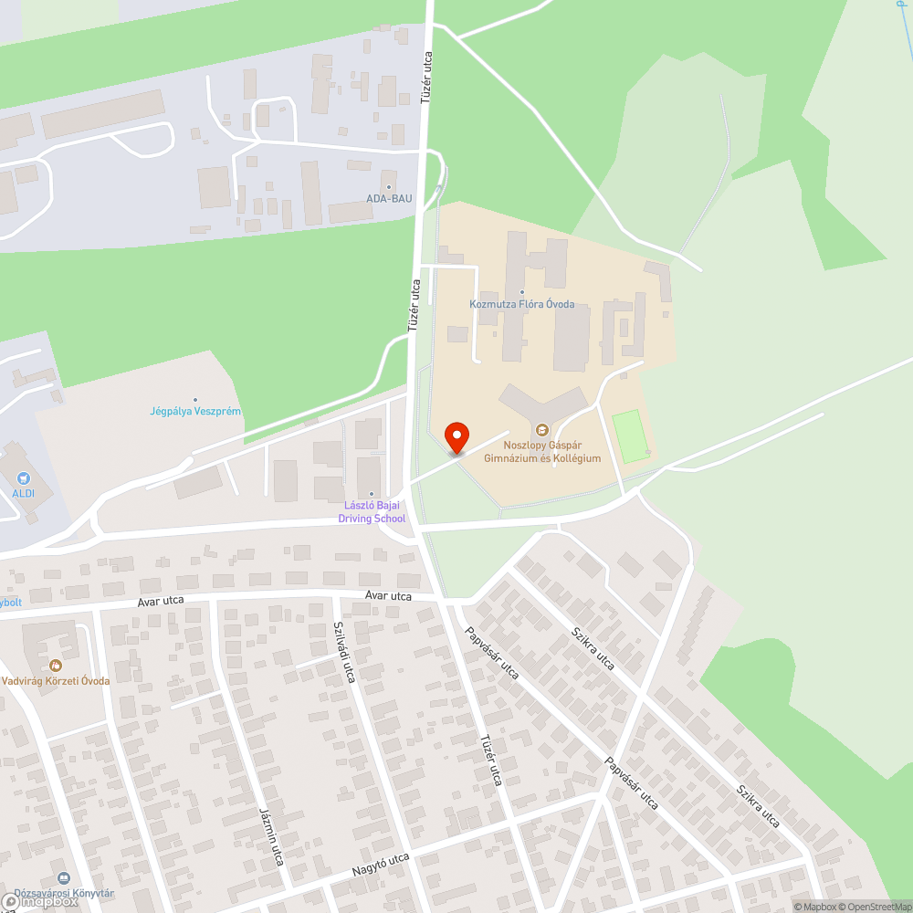 Nem világít a Noszlopy Gáspár Gimnázium főbejárata előtti lámpa bejelentés helye