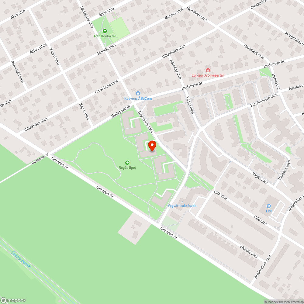 Elszállítatlan tűlevél kupacok bejelentés helye