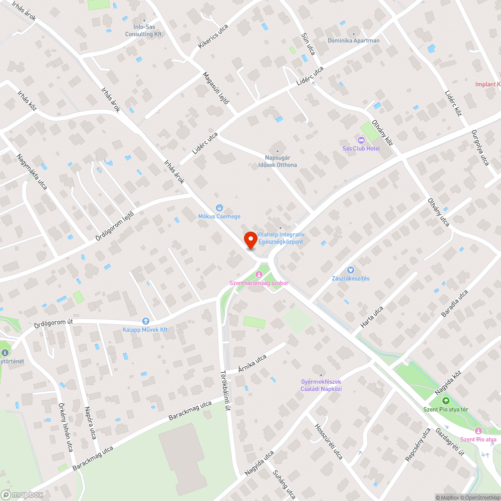 Bokáig érő tócsák az Irhás ároknál bejelentés helye