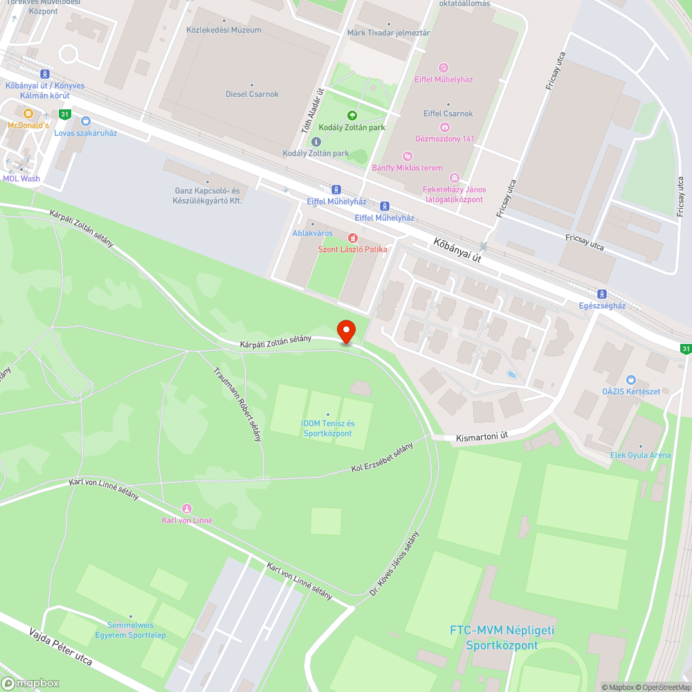 Elhagyott autó a Népligetben bejelentés helye