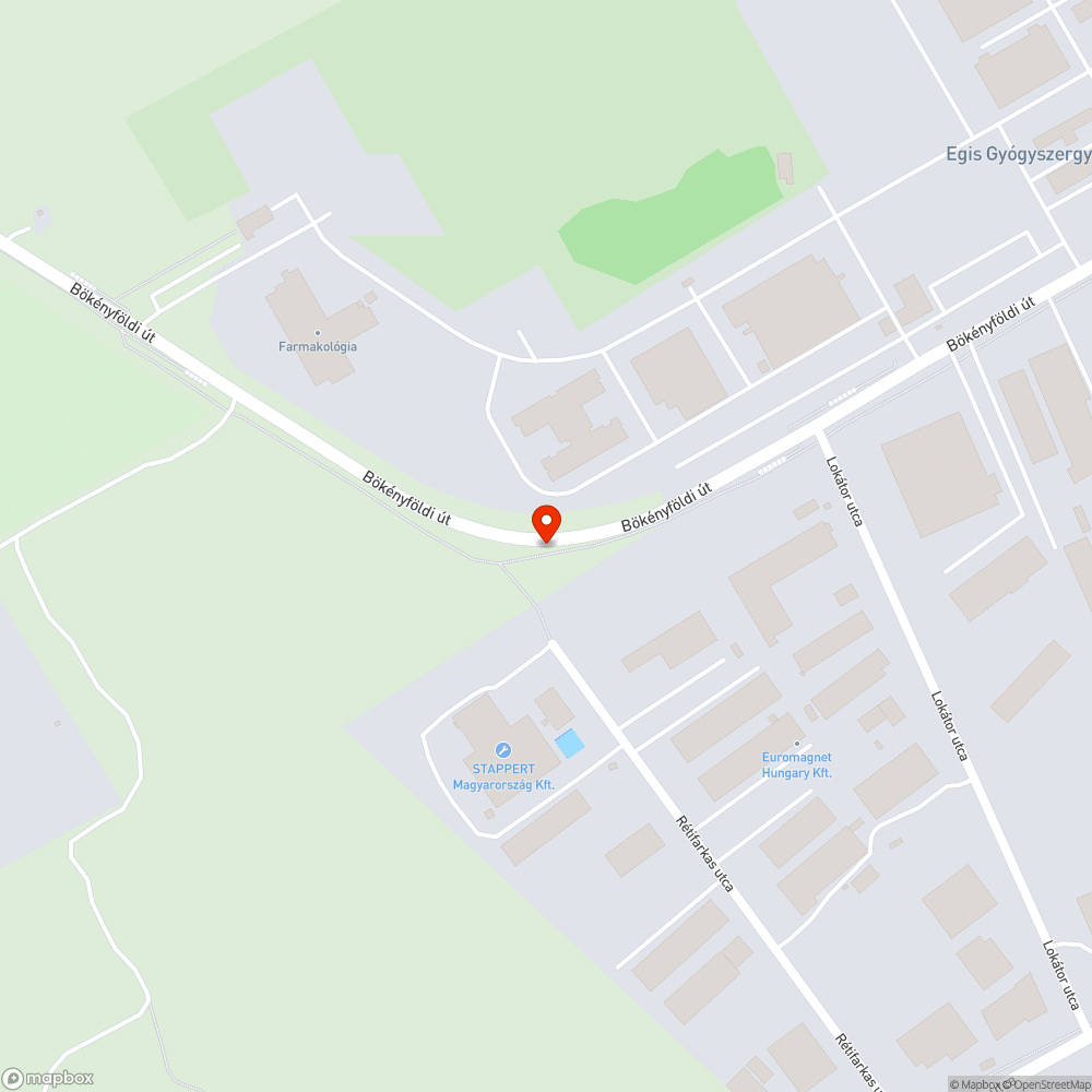 Rákosligeti határút, Bökényföldi út áldatlan állapota bejelentés helye