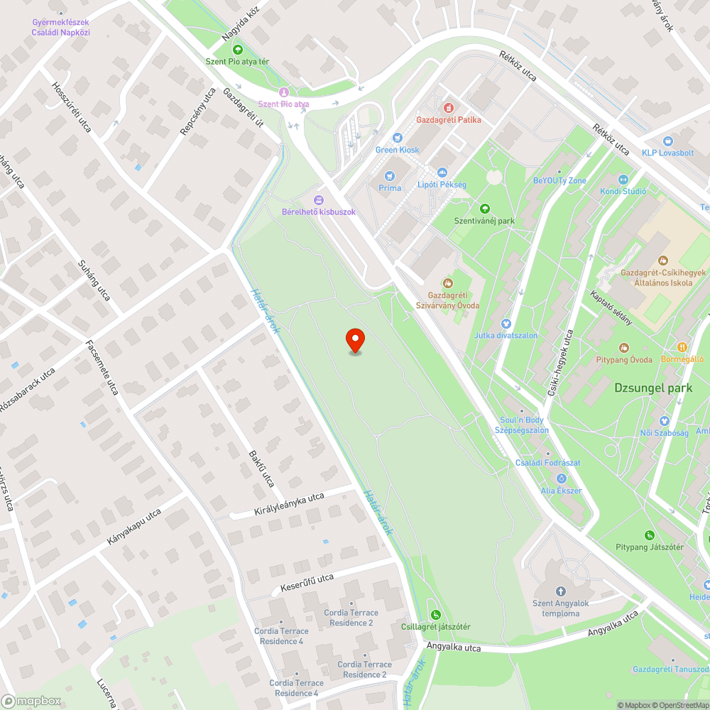 Szemét mindenütt a zöldterületen bejelentés helye