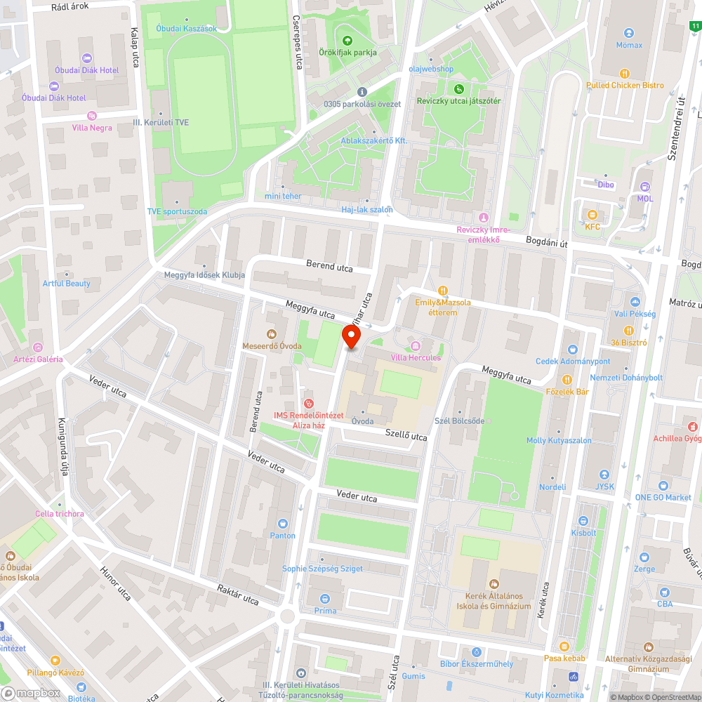 Vihar utcai, Meggyfa utcai katyuk bejelentés helye