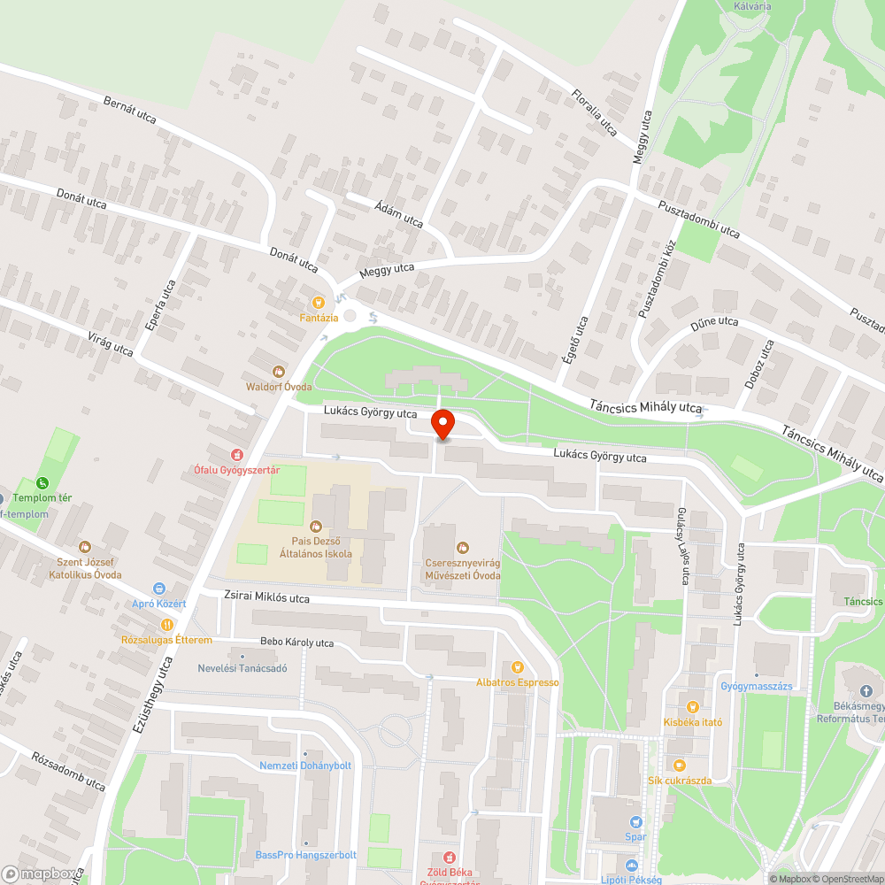 Folyamatosan szemetes járda. bejelentés helye