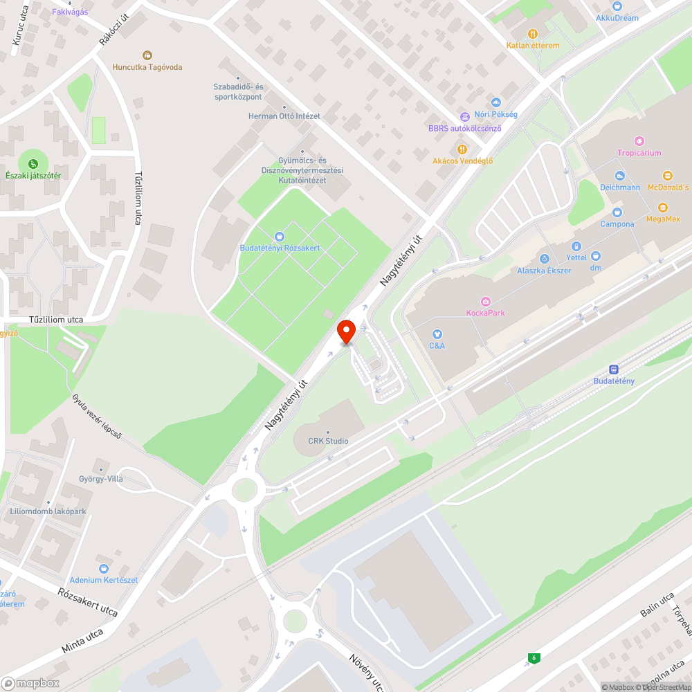 Zebra a semmibe bejelentés helye