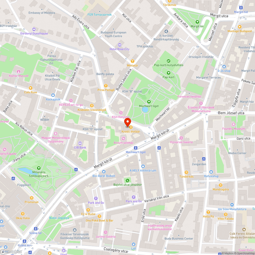 Szabálytalan parkolás veszélyes helyen bejelentés helye