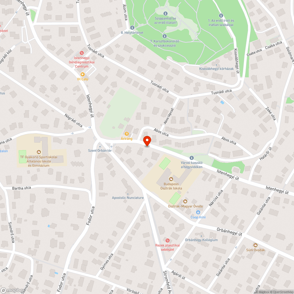 Túlcsorduló szemetes bejelentés helye