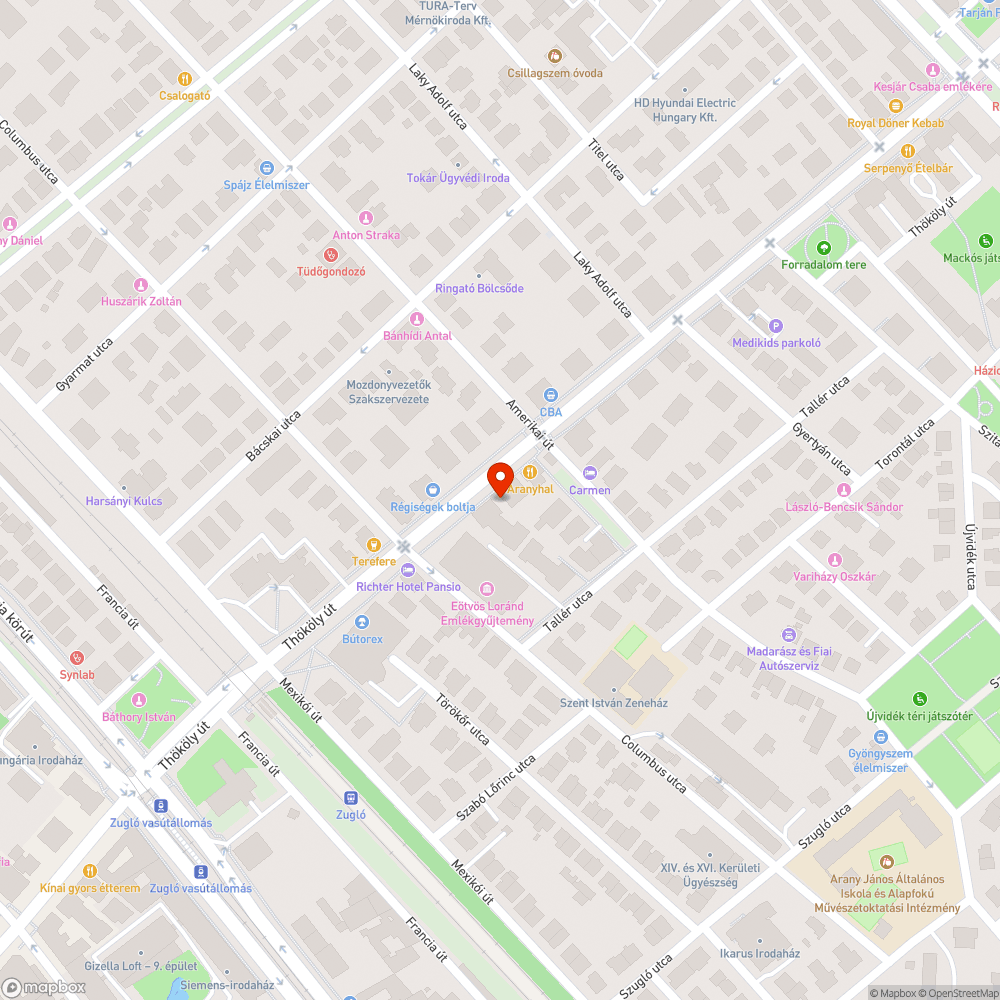 Lekopott a kerékpársáv felfestése bejelentés helye